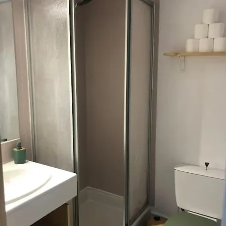 Climatise Avec Jardin Et Pkg Privatif 아파트 *